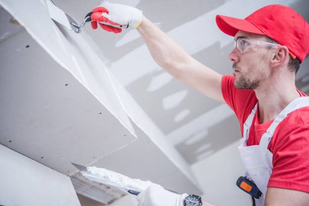 Best Ceiling Drywall Installation  in Lamar, SC